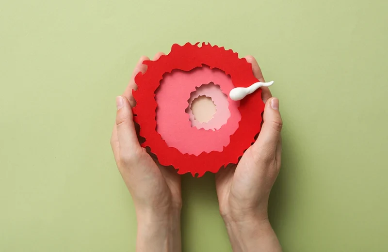 Eisprung & Fruchtbarkeit: Das müssen Sie wissen