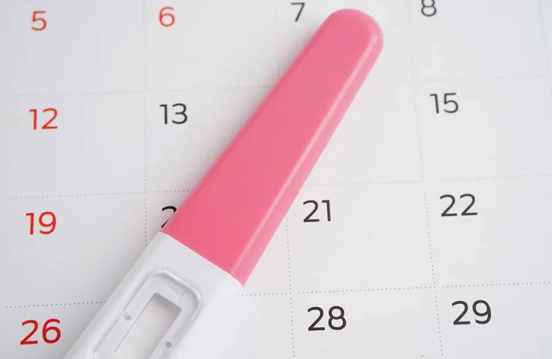 Fruchtbare Tage berechnen: Wann ist der beste Zeitpunkt?