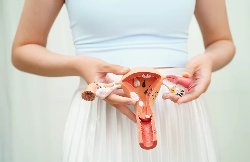 Menstruationszyklus: So funktioniert der weibliche Zyklus